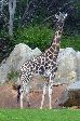 image/_187b2.jpg, 4K