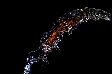 image/_dsc_0238b2.jpg, 1.9K