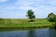 image/_dsc_0518b2.jpg, 2.7K